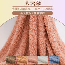 厂家现货销售大云朵珊瑚绒服装面料素色玩具沙发靠垫里布短毛绒