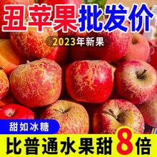 【批发价】高山丑苹果冰糖心苹果新鲜应当季水果整箱脆甜丑苹果