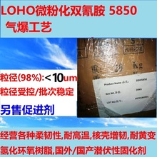 LOHO微粉化双氰胺 DDH5850  98%粒径小于10um