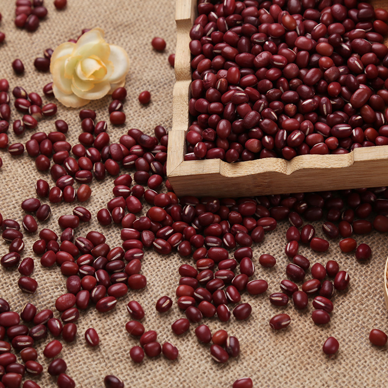 粮食批发红小豆 红饭豆五谷杂粮粗粮 大粒红小豆非赤豆量大从优