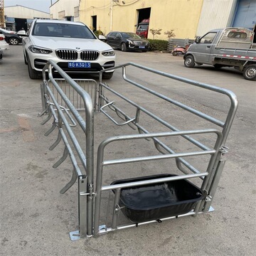 单体母猪产床单猪位母猪位猪用分娩床落实母猪产床产保一体定位栏