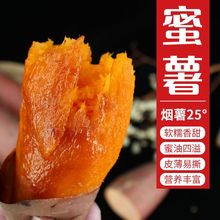 山东烟薯25蜜薯糖心红薯红心流油地瓜新鲜农家沙地山芋烤番薯10斤