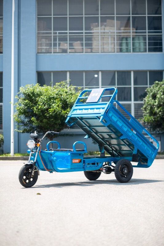 电动三轮车拉货载重王农用新款家用货车货运电瓶车快递车网红上牌