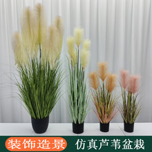 户外绿植装饰造景仿真植物盆景大头假芦苇大号假绿植客厅盆栽摆件