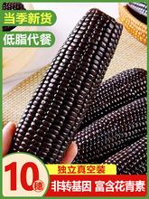 黑糯玉米10支真空袋装新鲜现摘甜黏玉米棒非东北粘苞谷加热即食