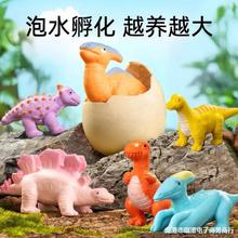恐龙蛋孵化泡水同款蓬胀泡水变大霸王龙玩具儿童礼物仿真动物