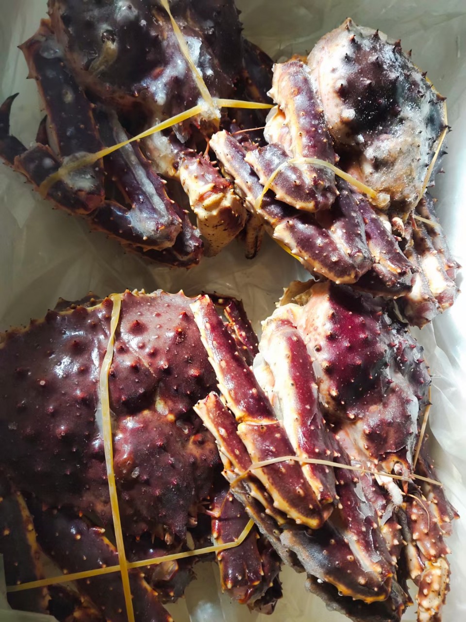 椿玲优鲜 批发代发3-4-5斤每只生冻帝王蟹