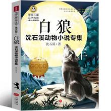 白狼书 沈石溪动物小说6篇第七条猎狗斑羚飞渡梅里山鹰棕熊的故事