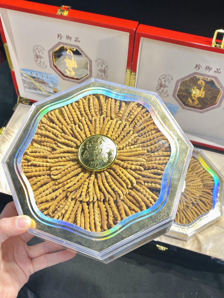 一克3条规格那曲虫草100克礼盒装 冬虫夏草批发 抖音带货 代发