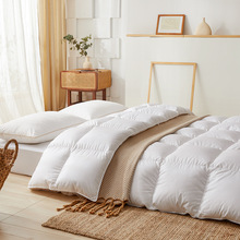 全棉日式白鹅绒羽绒被床上用品加厚保暖冬季纯棉被子宿舍纯色被芯