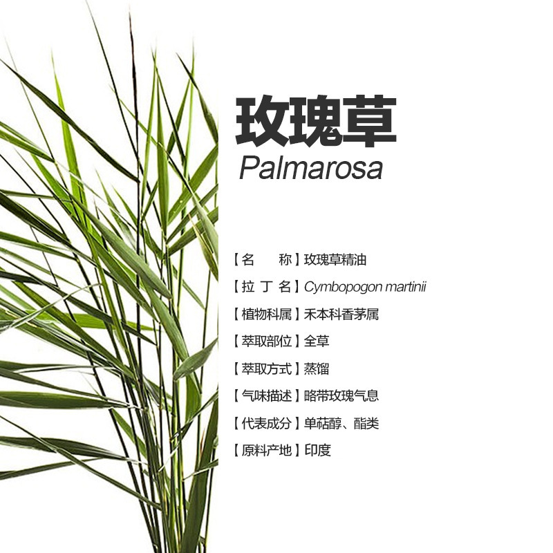 阿甘树印度玫瑰草精油 palmarosa单方精油cymbopogon martinii