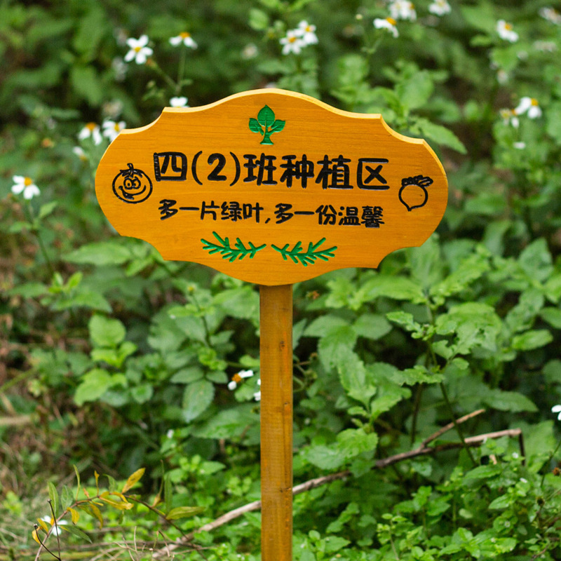 菜地花草植物插地户外警示标识幼儿园菜园花园种植提示牌木牌