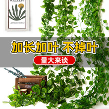 仿真藤条绿植藤蔓绿叶假树叶塑料花悬吊式天花板下水管道空调管子