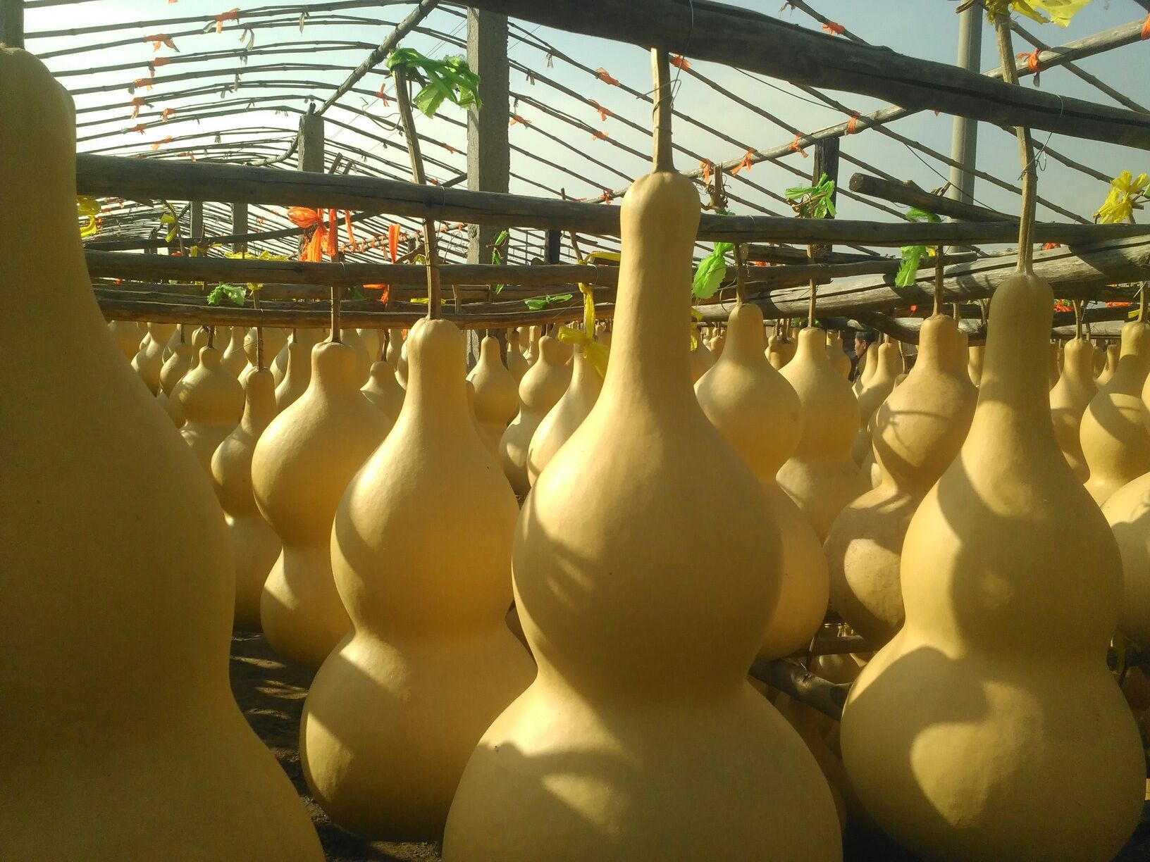 天然大葫芦摆件挂件小胡芦家居开口特大镇家宅玄关带龙头大号