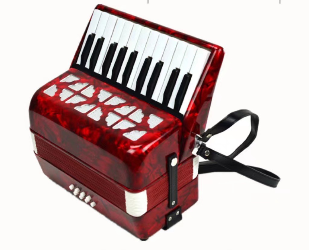 SOURCE Factory 22 Key 8 Bass Accordion Entry-Level Keyboard 8 Bass Accordion for Student Practice