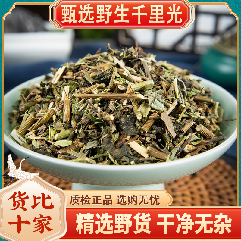 千里光包邮中药材草药野生泡茶水小孩洗澡泡澡九里一扫光黄花母