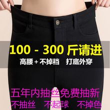 超特大码打底女裤胖mm200高腰外穿弹力春秋款220斤胖人胖妹妹黑裤