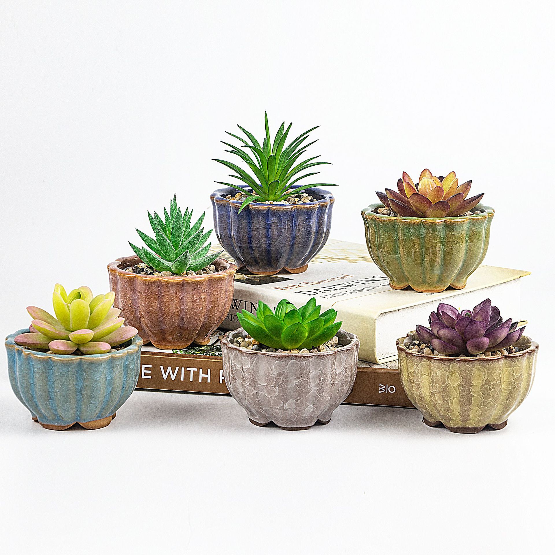 跨境批发冰裂莲花杯陶瓷小花缸办公桌盆栽阳台迷你多肉小花盆