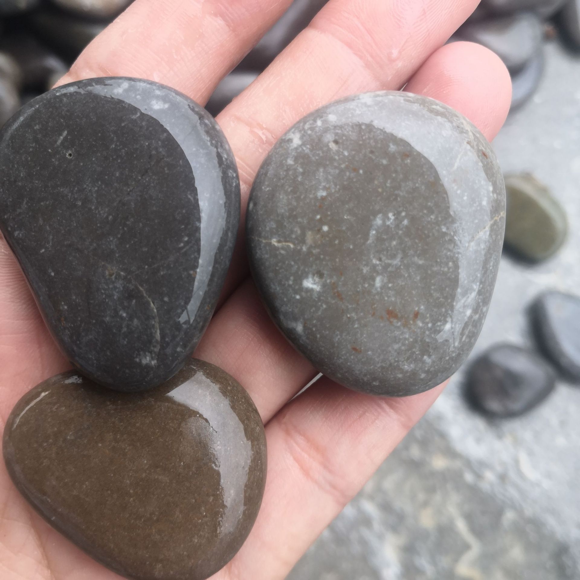 厂家直供扁形绘画石卡通创意鹅卵石美术day彩绘石人工精选