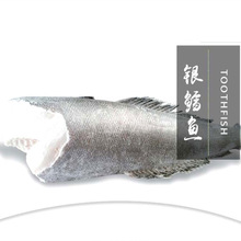 法国银鳕鱼大西洋冷冻水产法国银鳕鱼1条重5公斤起称重多退少补