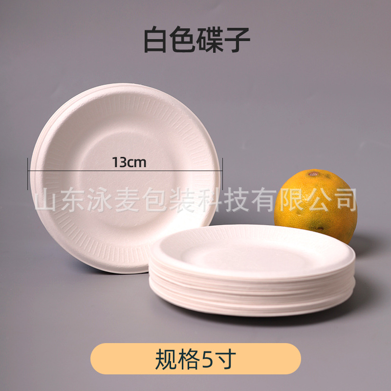Disposable Sugarcane Pulp Paper Pallet Plate Barbecue Cake Kindergarten Drawing DIY Paper Plate Thickened Paper Pulp Plate