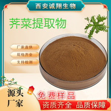 荠菜提取物10：1  浓缩萃取诚翔生物现货1kg起免费包邮水溶荠菜粉
