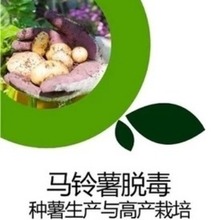 马铃薯脱毒种薯生产与高产栽培 新型职业农民种植培训教材，