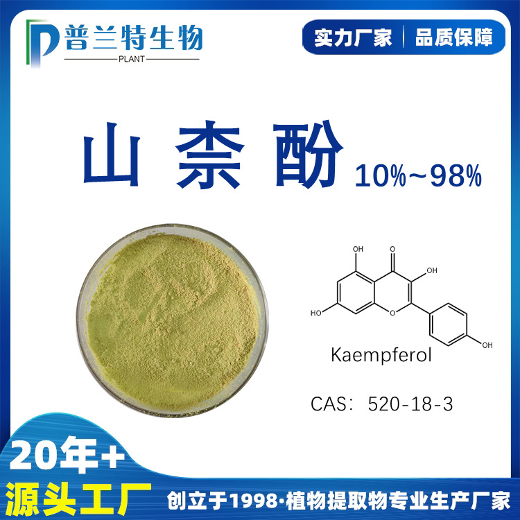 山奈酚/山柰酚 10%-98% 槐角提取物 山奈酚/山柰酚厂家