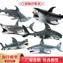 仿真海洋生物海底动物模型鲨鱼大白鲨巨齿鲨虎鲨儿童玩具摆件套装