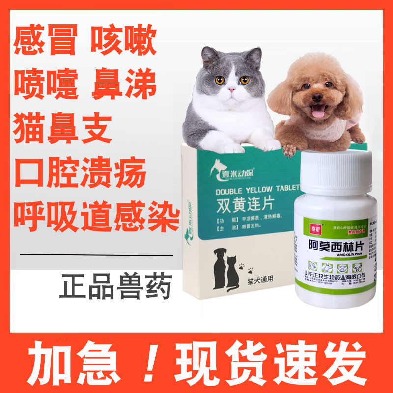 宠物猫咪感冒药咳嗽流鼻涕猫支鼻狗狗打喷嚏猫用小狗幼猫消炎药