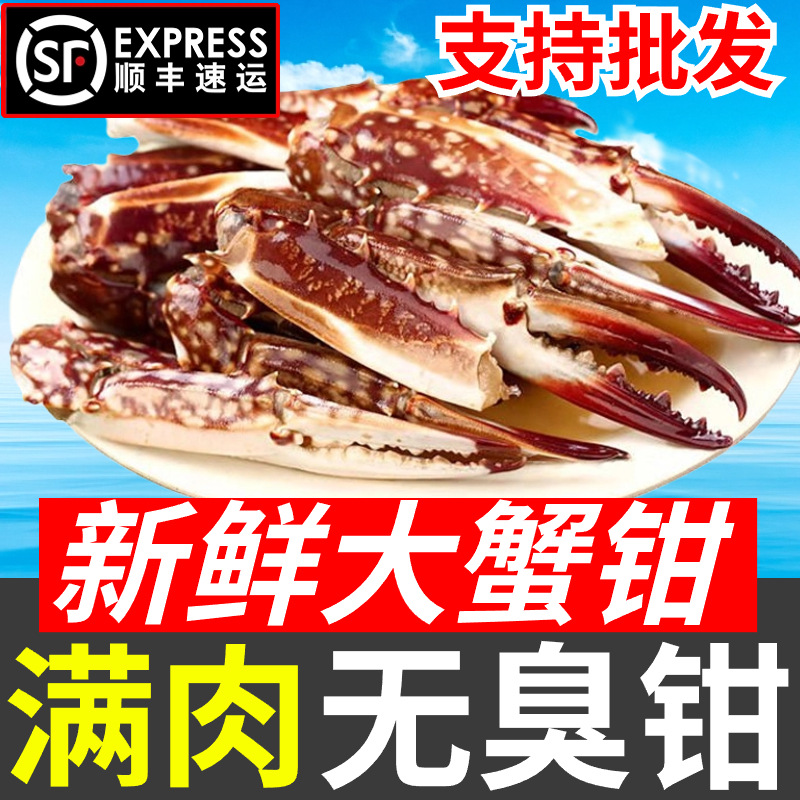 捞汁原料新鲜蟹钳冷冻生鲜食材梭子蟹钳大蟹腿商用鲜蟹脚钳批发