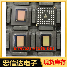 MT9V024IA7XTR-DR1 BGA封装 图像传感器 芯片 全新现货 可咨询