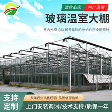 厂家建设现代智能农业温室大棚 玻璃温室大棚自动通风系统建设