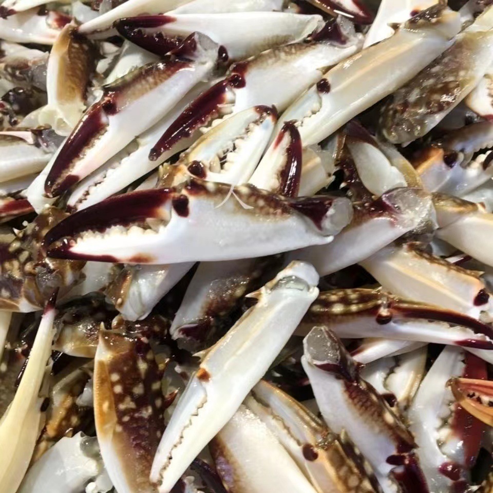 梭子蟹钳冷冻鲜活蟹脚大螃蟹蟹脚批发批发价大号冰冻梭子蟹钳新鲜