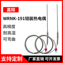 K型铠装热电偶WRNK-191探针温度传感器PT100/E/J热电阻探头高精度