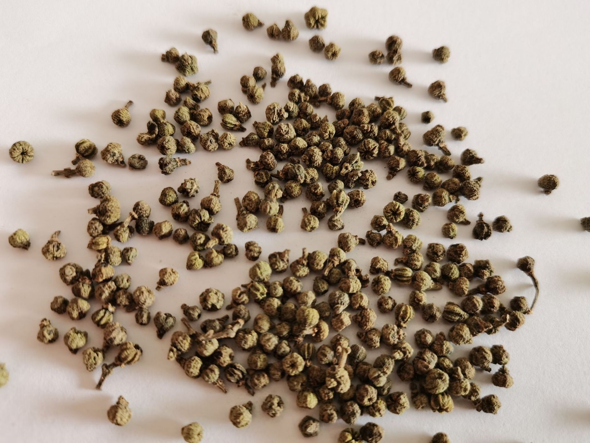 【同稳药材】江西吴茱萸中花新货 吴茱萸气味足 价格低今年新货