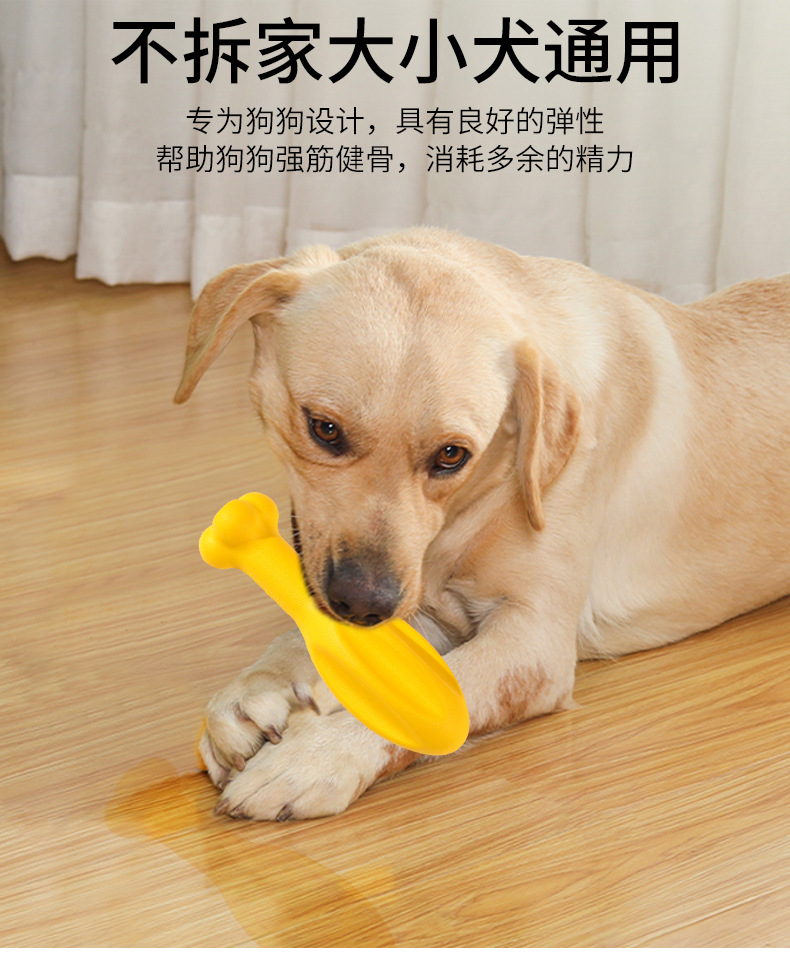 现货批发eva发泡可浮水狗玩具鸡骨头 耐咬欧美流行狗玩具宠物玩具