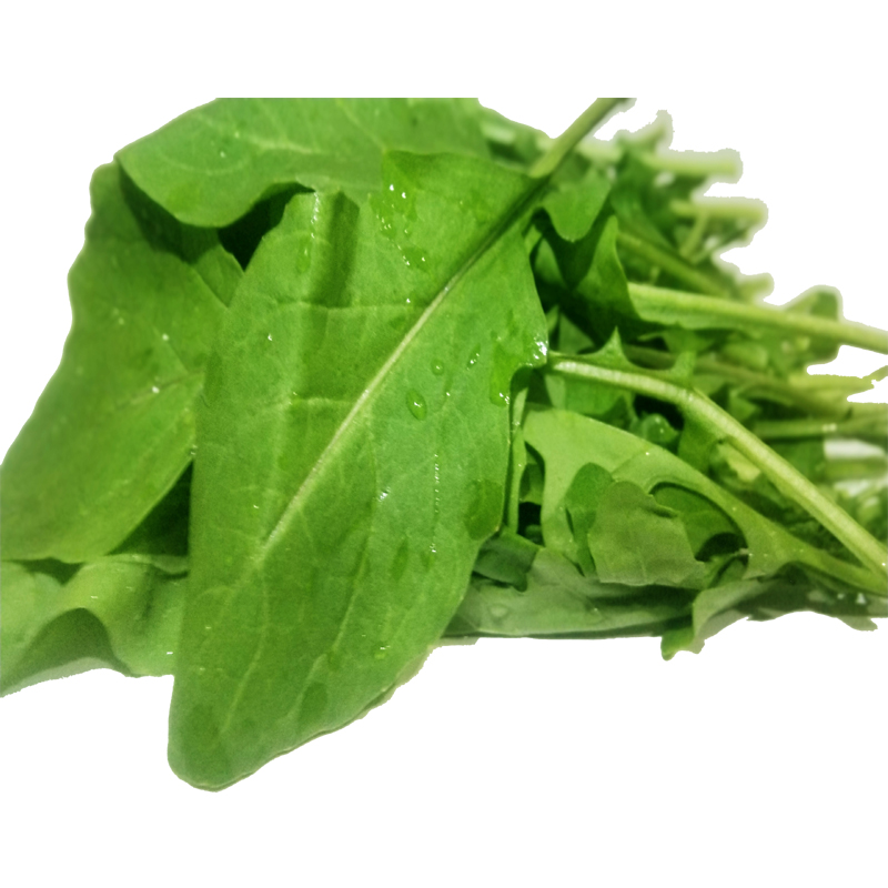 东北蘸酱小菜新鲜臭菜农家自种新鲜蔬菜大叶臭菜一份包邮-阿里巴巴