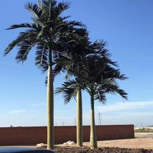 椰子树假椰树夏季人造景观假椰树摆件户外假树棕榈树商场