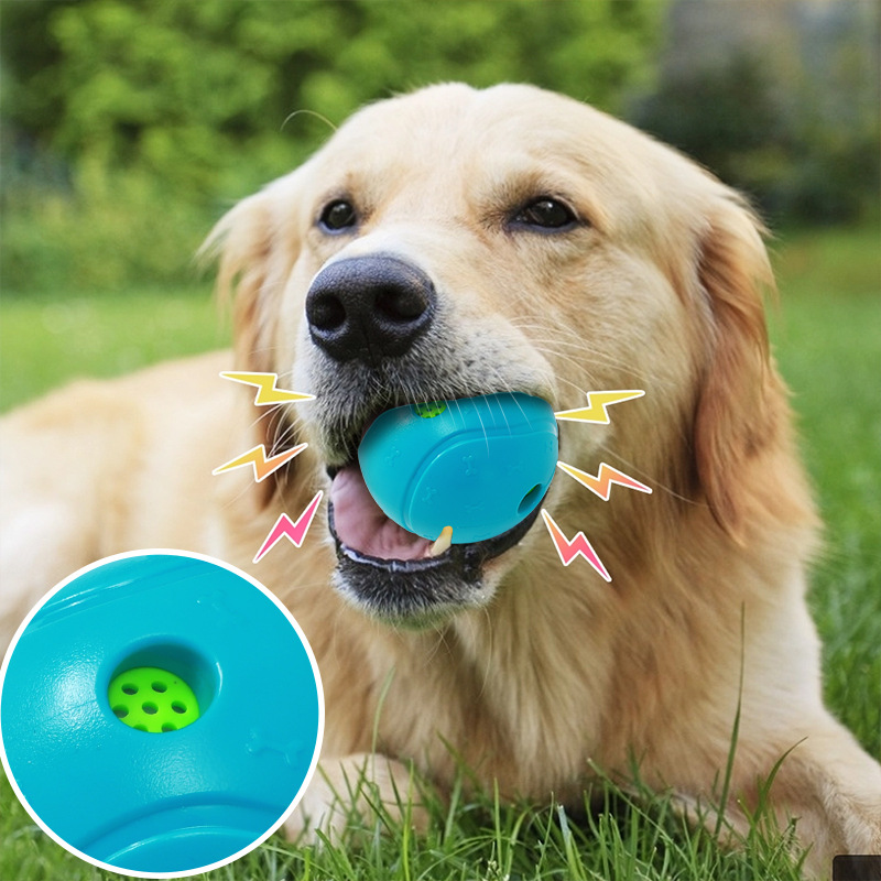 Dog Toy Bite-Resistant Molar Dog Bone Food Dropping Ball Sounding Pet Toy Throwing Training Elastic Ball Wholesale