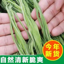 【鲜脆贡菜】新鲜苔干苔菜下饭菜特产干货脱水蔬菜100克一袋代发