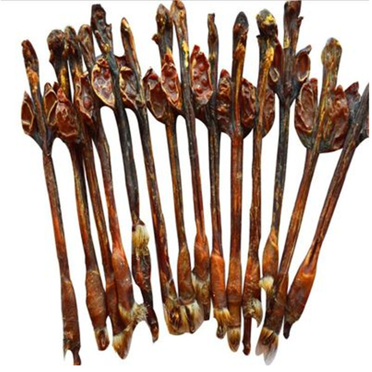 主营产品:农产药材;动物药材;中草药材所在地:亳州市谯城区 交通路东