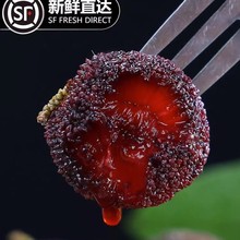 正宗浙江仙居杨梅新鲜东魁大杨梅鲜果颗粒装当季孕妇水果泡酒整箱
