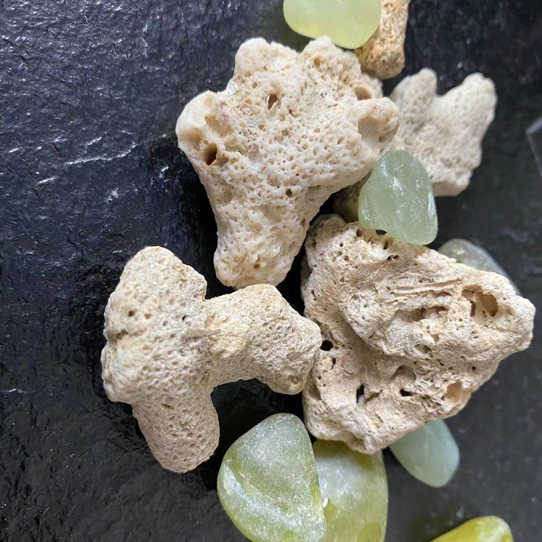 现货供应 珊瑚石 珊瑚骨 水族鱼缸鱼池海洋馆过滤材料用珊瑚沙