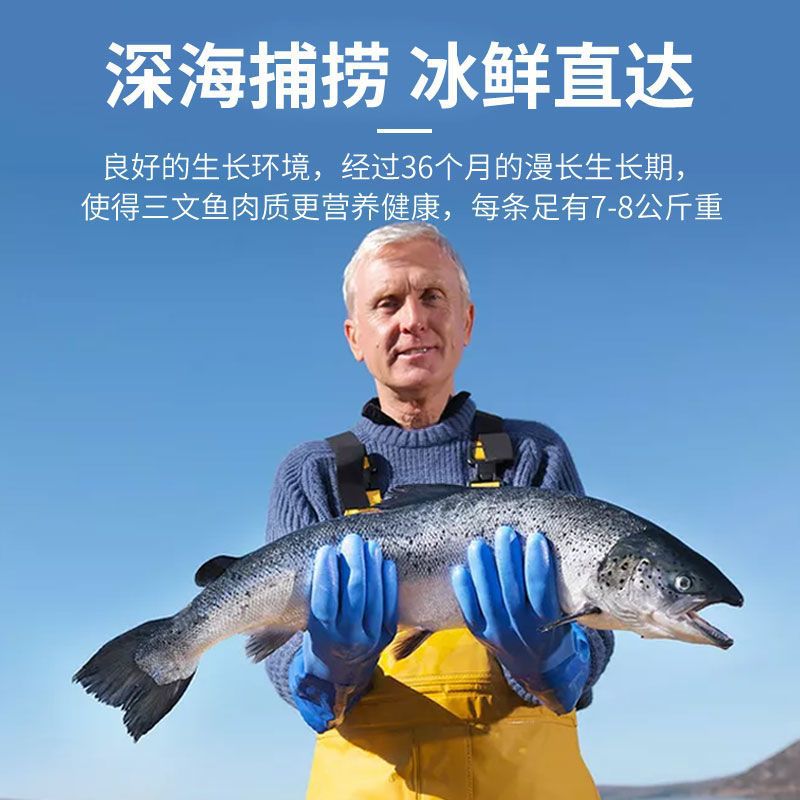 挪威三文鱼整条冰鲜进口大西洋鲑鱼刺身生吃 即食12-10斤-阿里巴巴