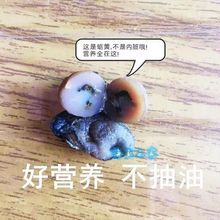 小海蛎干小海蛎子海蛎干货中号小号福建泉州批发牡蛎干生蚝干
