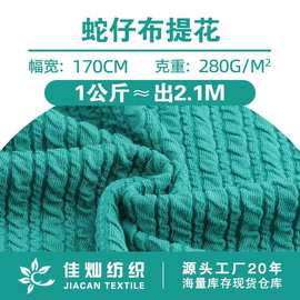 涤纶蛇仔布提花面料 针织涤氨立体提花布 秋冬时装T恤吊带衫布料