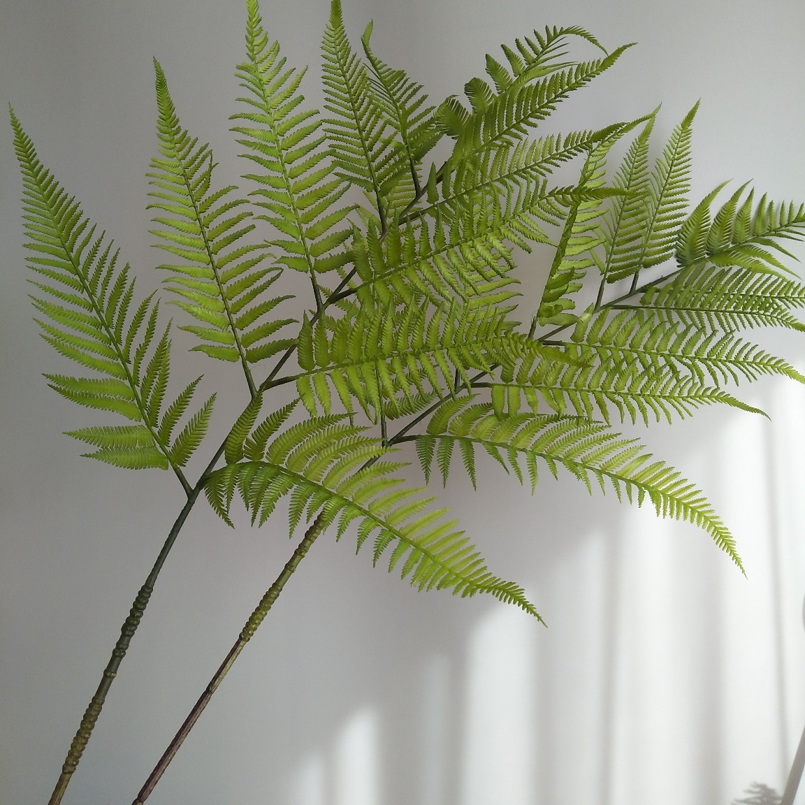 仿真软胶金丝猴厥金丝蕨 仿真软胶植物新中式家居样板间酒店装饰