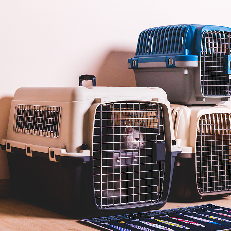 iata国航宠物航空箱猫托运大号码专用金属窗狗航空箱大中型犬车载