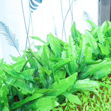 植物假花假草假树人造绿植客厅阳台庭院装饰绿墙草坪塑料花艺